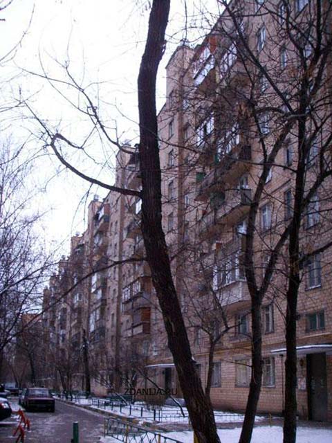 Планировка квартир серии И-29